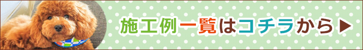 {HuOꗗ̓R`